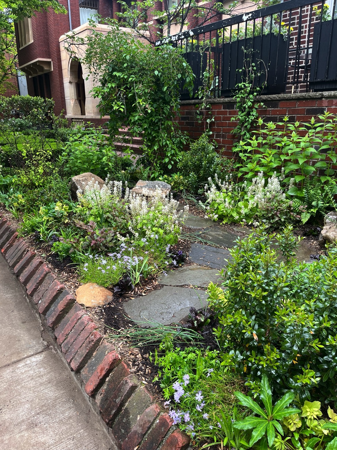 Residential garden with a stone path and layered planting