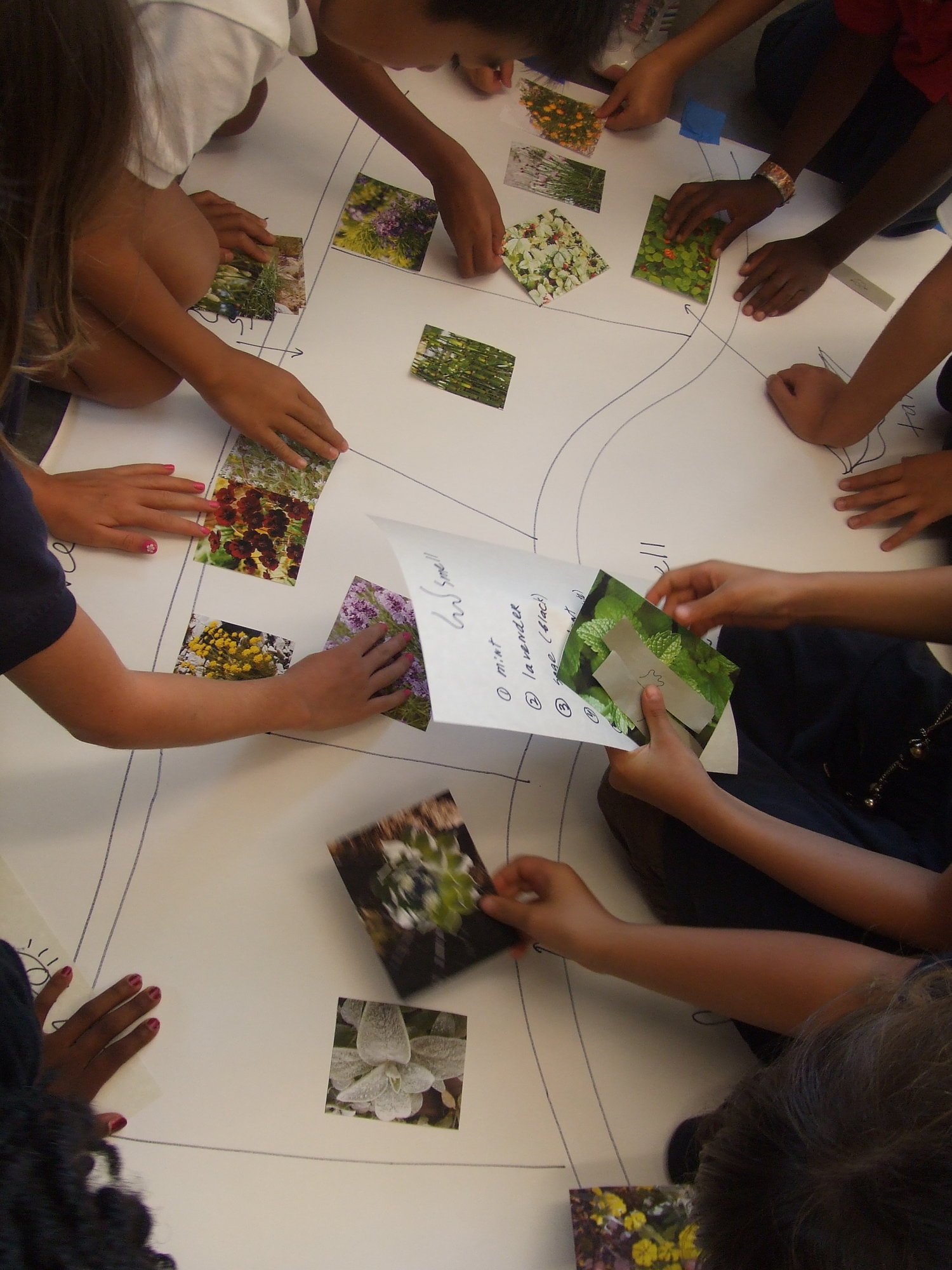 Children’s hands arranging garden ideas on a hand-drawn plan