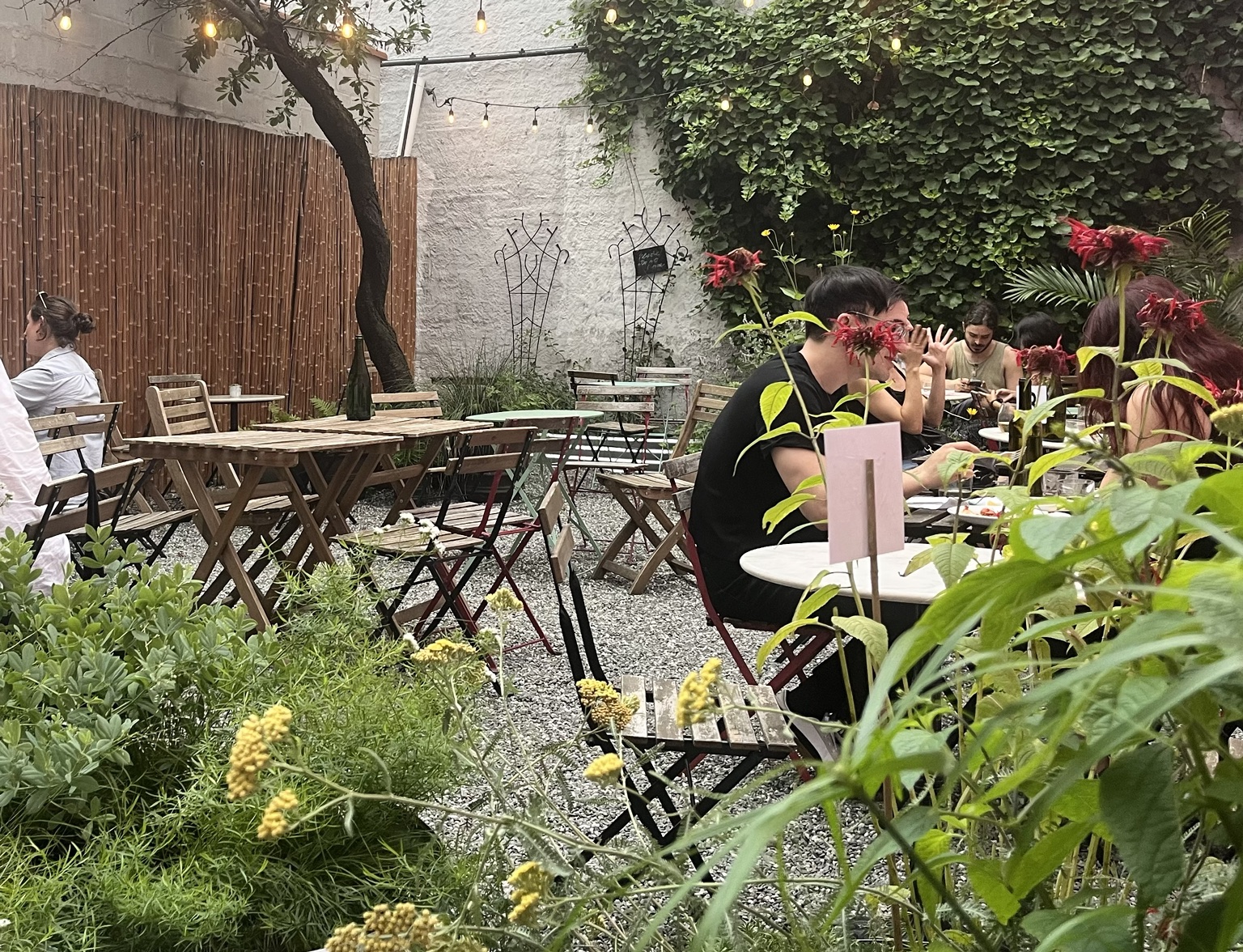 Garden gathering space with people seated among planting